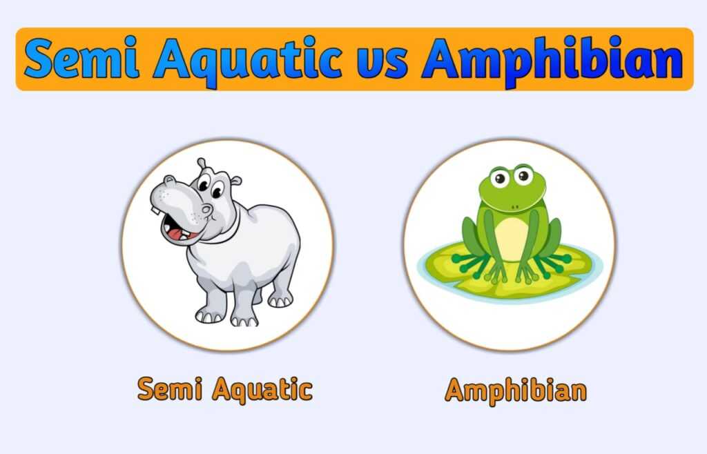 semi-aquatic-vs-amphibians