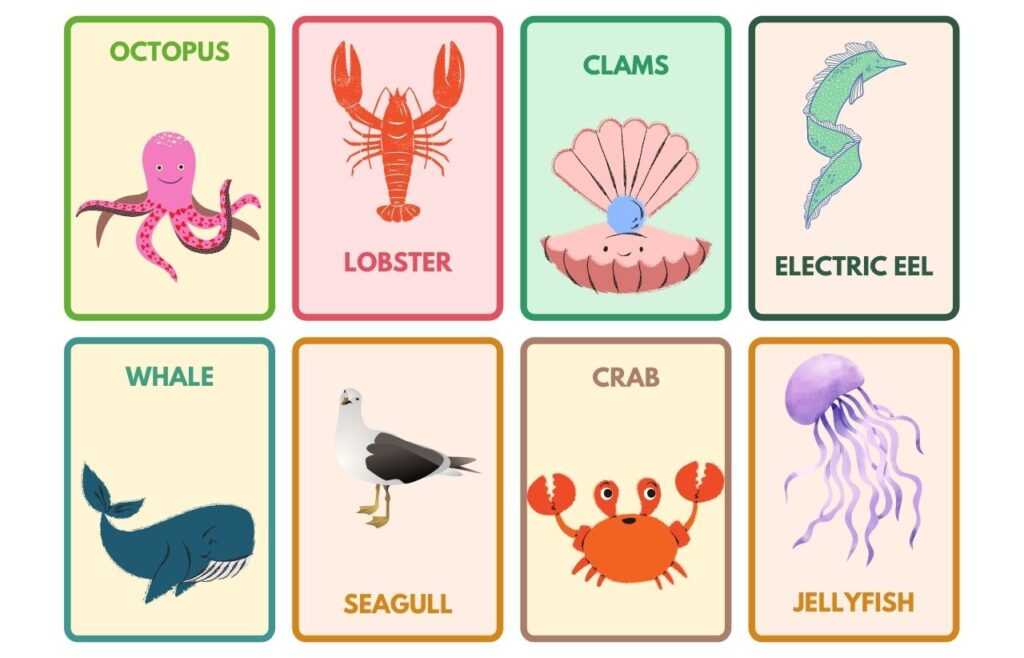Aquatic Animals name