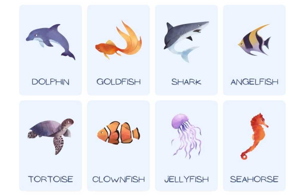 Sea animals name