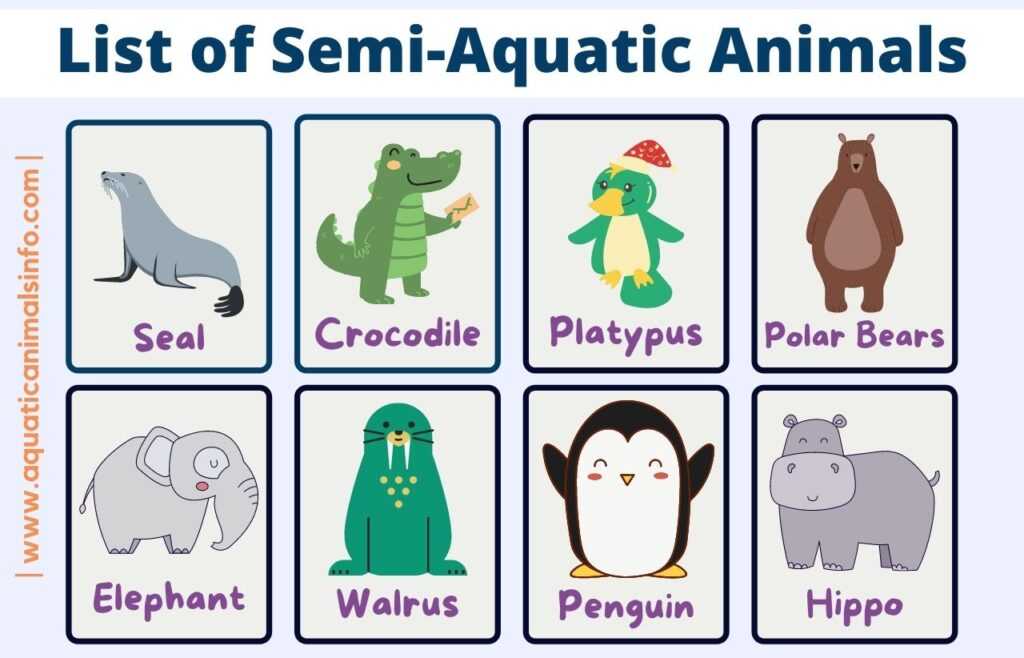 list of Semi Aquatic Animals