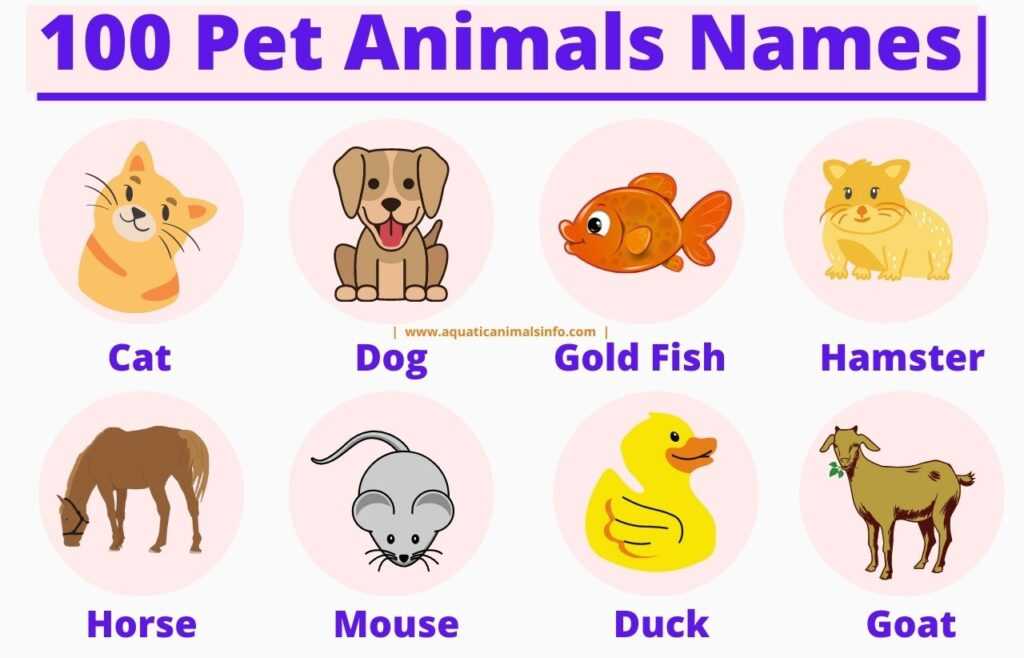 Pet Animals Names