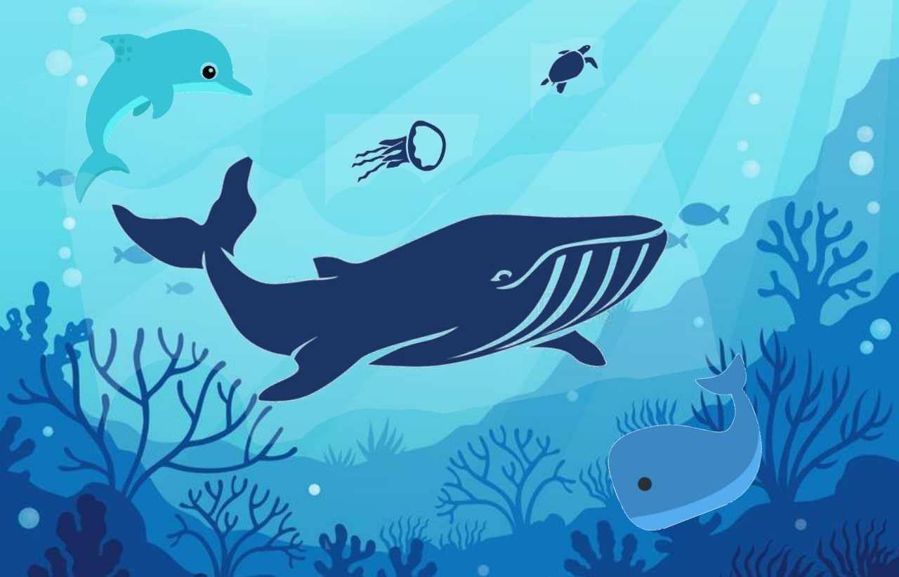 Aquatic Animals – Complete overview with Pictures