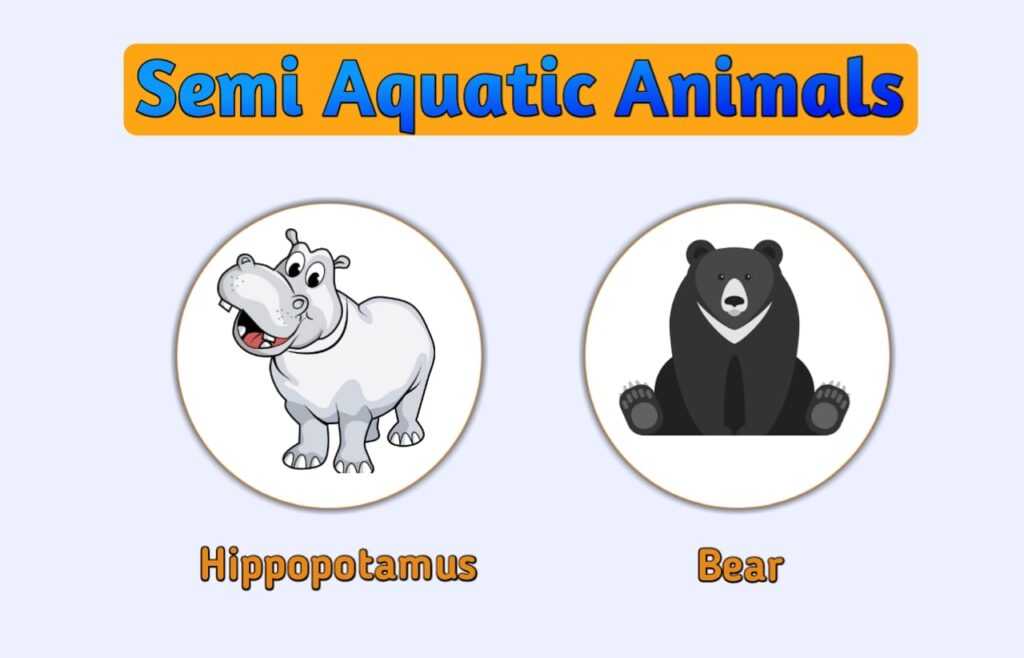 semi aquatic animals