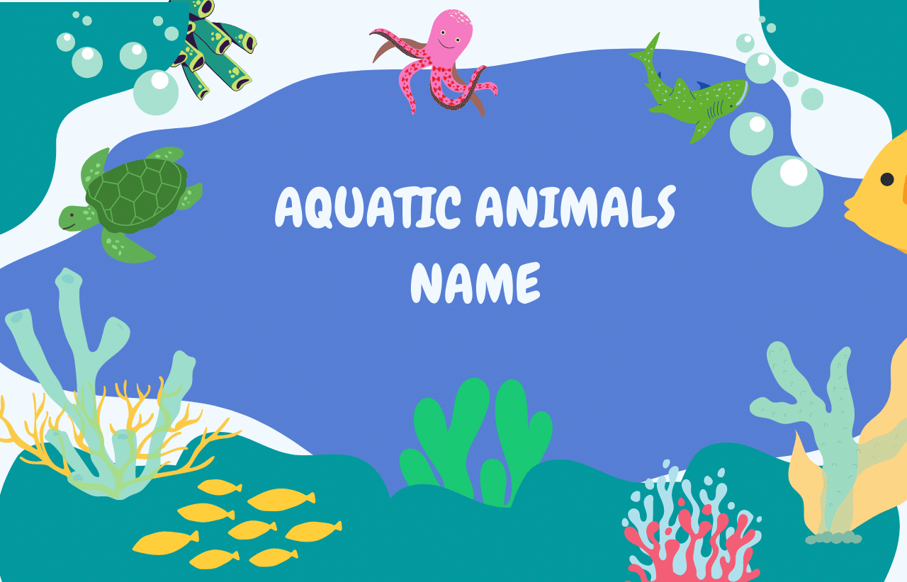 60+ Aquatic Animals Name: List With Pictures