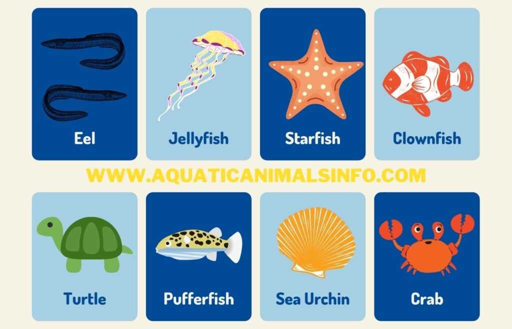 sea animals name