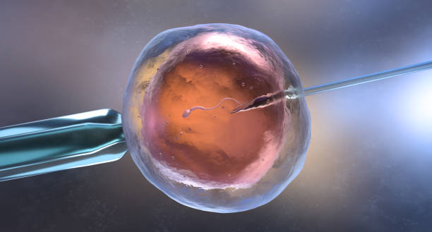 Understanding IVF Treatment in Dubai: Step-by-Step Guide for Couples